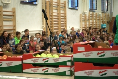 ZoldsegGyumolcs_Hunyadi_20141018