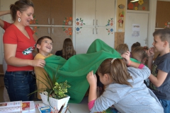 ZoldsegGyumolcs_Korosi_20141018 (2)