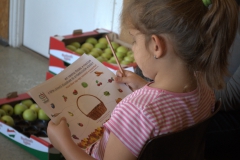 ZoldsegGyumolcs_Korosi_20141018