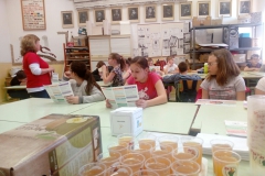 Bolyai_2_egeszsegestaplk_foglalkozas