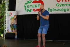 Gyere_Nap_2017_KocsiTibor