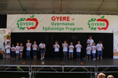 Gyere_Nap_2017_szinpad