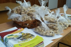 Zsirok_olajok_foglalkozas_szoroanyag