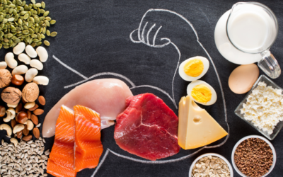 TÁPLÁLKOZÁSI AKADÉMIA HÍRLEVÉL 2025. DECEMBER