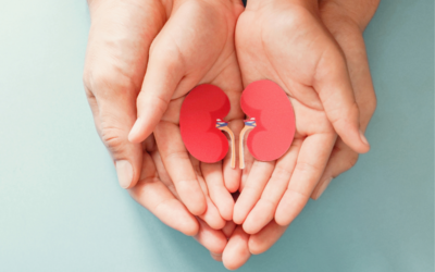 TÁPLÁLKOZÁSI AKADÉMIA HÍRLEVÉL 2026. FEBRUÁR